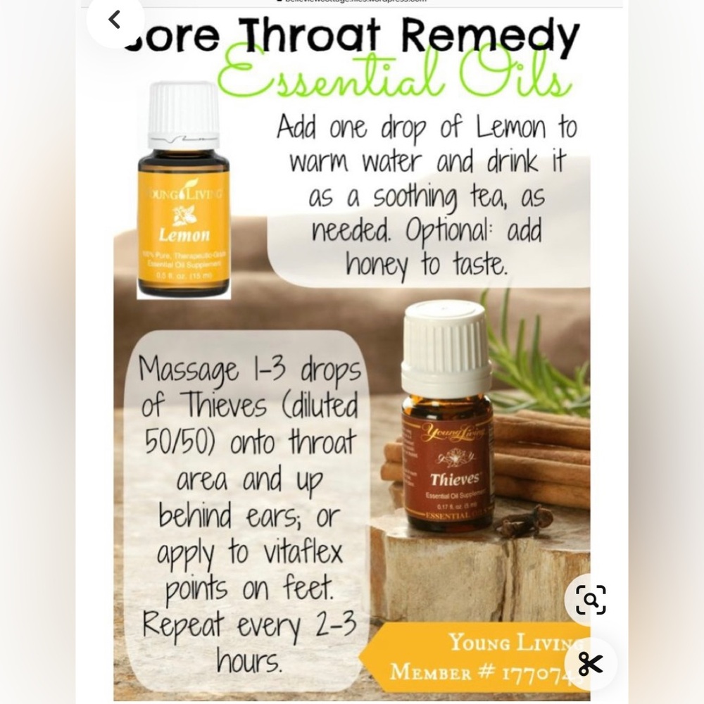 Thieves & Lemon Essential Oils - Picture 1 of 9
